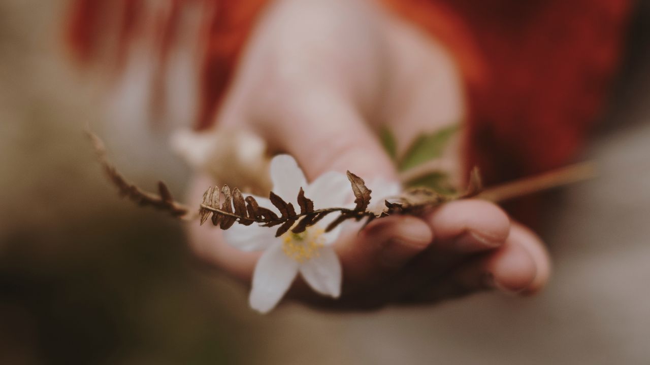 Trois jours de sororité en lien avec la nature et les éléments